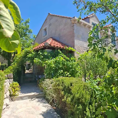 Fishing Family House بيت ضيافة Mocici