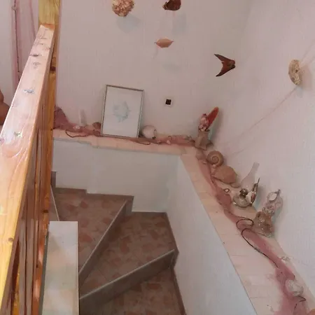 Fishing Family House بيت ضيافة Mocici