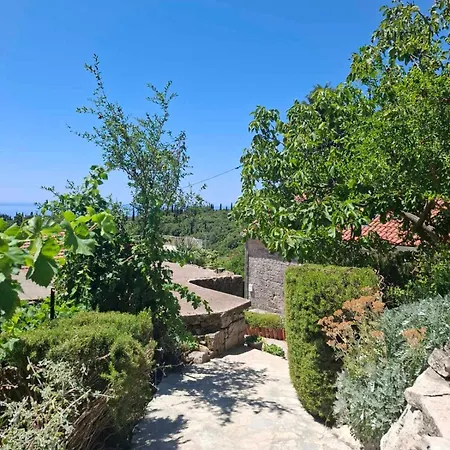 Fishing Family House בית הארחה Mocici