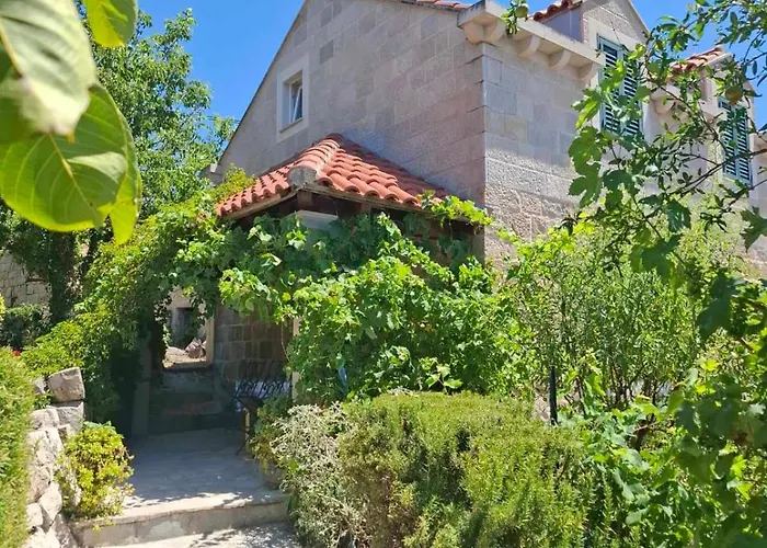 Fishing Family House בית הארחה Mocici
