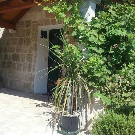 Fishing Family House Guest house 3*